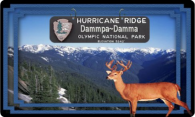 Hurricane Ridge logo
