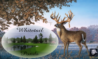 Whitetail Ponds logo
