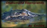 Okahumpka Swamplands logo