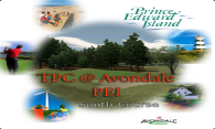 TPC at Avondale (South) 2006 logo