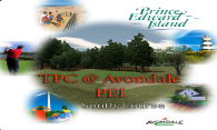 TPC at Avondale (South) 2007 logo