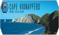 Cape Kidnappers 08 logo