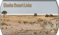 Etosha Desert Links logo