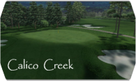 Calico Creek 2008 logo