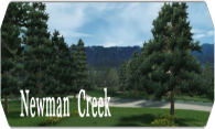 Newman Creek 2008 logo