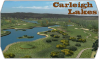 Carleigh Lakes logo